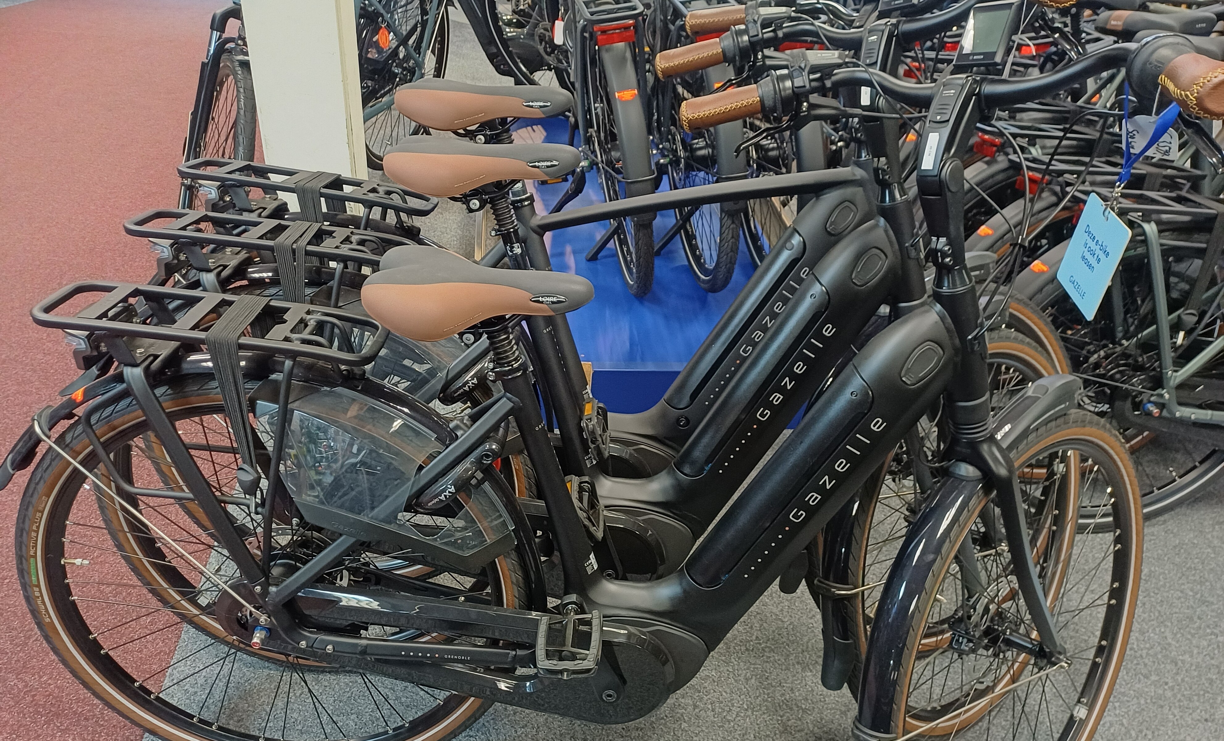 Gazelle grenoble c8 hmb dames 49cm